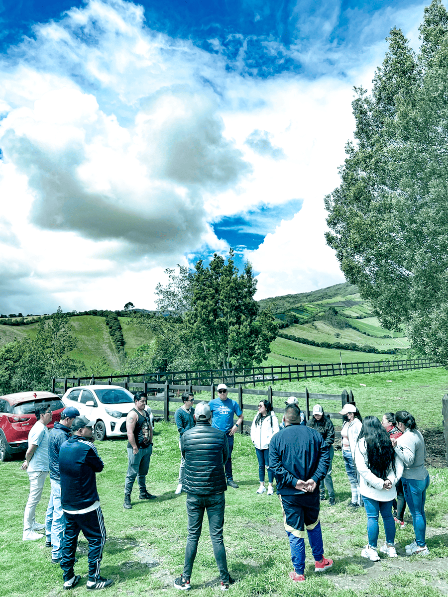 zonas exteriores (1)